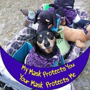 Meet your Posher, Jean